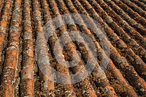 shingles on roof covered by moss and lichens