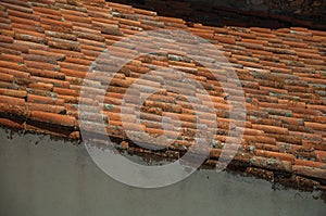 shingles on roof covered by moss and lichens