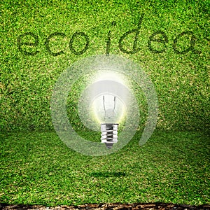 Shining bulb in grass room background,eco idea
