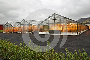 Shining greenhouse, Iceland