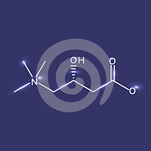 Shining L-carnitine chemical formula