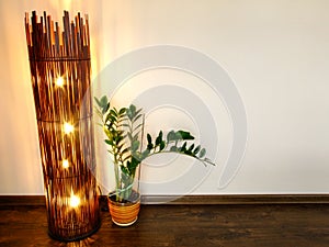 Shining Lamp of Bamboo and Zamiculcas