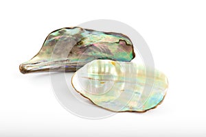 Shining mother of pearl on white background