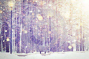 Shining snowflakes on winter park background. Christmas and New Year theme. Winter snowfall in colorful sunset