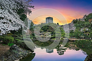 Shinjuku Gyoen National Garden during cherry blossom bloom in Tokyo photo