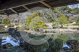 Shinjuku Gyoen National Garden Museum. Tokyo. Japan.