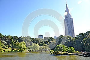 Shinjuku Gyoen Park is one of the largest parks in Tokyo