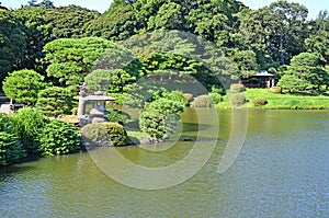 Shinjuku Gyoen Park is one of the largest parks in Tokyo