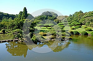 Shinjuku Gyoen Park is one of the largest parks in Tokyo