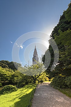 Shinjuku`s Docomo tower overlooking the Upper Pond and the pine