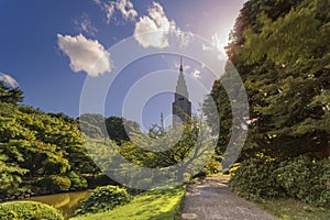 Shinjuku`s Docomo tower overlooking the Upper Pond and the pine