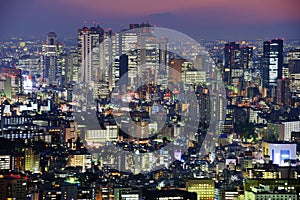 Shinjuku Skyline photo