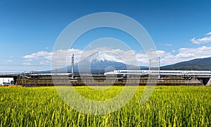 Shinkansen or Bullet train with rice field and Fuji mountain