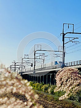 Shinkansen japan fast train