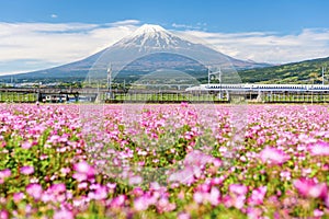 Shinkansen JR Bullet train go through Mt. Fuji, Shizuoka