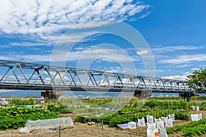 Shinkansen JR bullet train with mt. Fuji and farm, Shizuoka