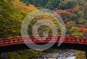Shinkyo bridge with stream in autumn forest, beautiful nature landscape