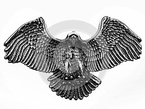 Shinny old metal eagle symbol photo