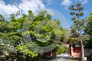 Shinnyo-do Temple of fresh verdure, Kyoto, Japan