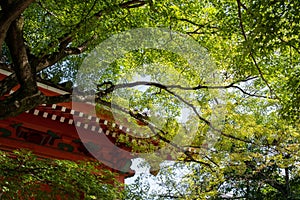 Shinnyo-do Temple of fresh verdure, Kyoto, Japan