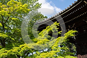 Shinnyo-do Temple of fresh verdure, Kyoto, Japan