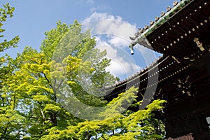 Shinnyo-do Temple of fresh verdure, Kyoto, Japan