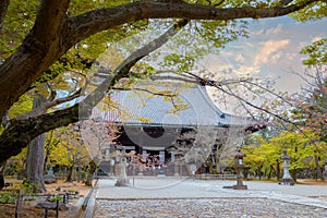 Shinnyodo or Shinshogokurakuji temple founded in 984 its name refers to Sukhavati which means the