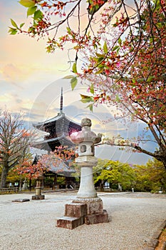 Shinnyodo or Shinshogokurakuji temple in Kyoto, Japan
