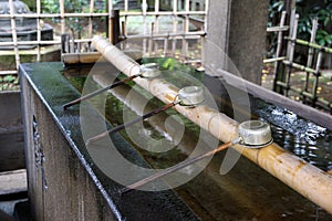 Shinto shrine purification basin