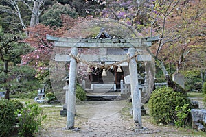 shinto temple (kikko shrine) in iwakuni (japan)