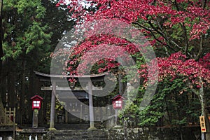 Shintoist temple at Shimoyoshida, Fujioshida photo