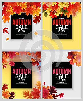 Shiny Autumn Leaves Sale Banner Collection Set. Vector Illustration