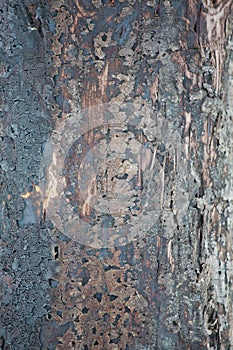 Shiny brushed silver metal surface