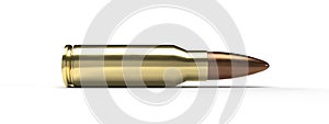 Shiny bullet on a white background.