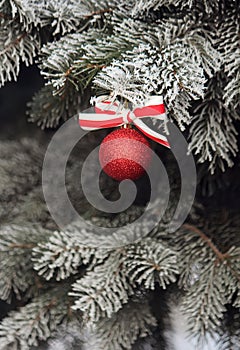 Shiny Christmas ball with a ribbon on a snow-covered tree.