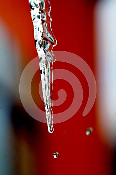 shiny clear ice icicles hang on a clear day.