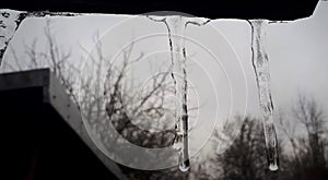 shiny clear ice icicles hang on a clear day outdoor