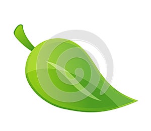 Shiny conservation leaf symbol