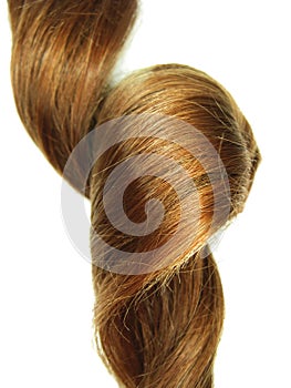 Shiny dark gingery hair curl