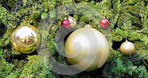 Shiny gold plastic christmas ball hanging on artificial christmas tree