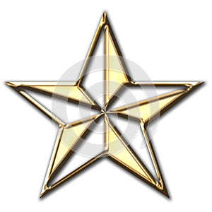 Shiny Gold Star