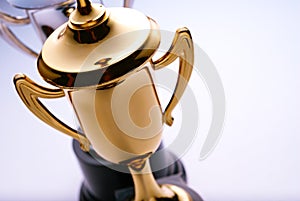 Shiny gold trophy award