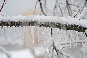 Shiny icicles.