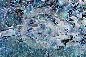 Shiny nacre of Paua or Abalone shell background