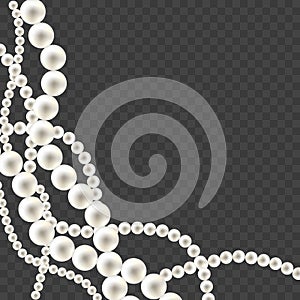 Shiny oyster pearls for luxury accessories. Vector pearl necklace on transparent background