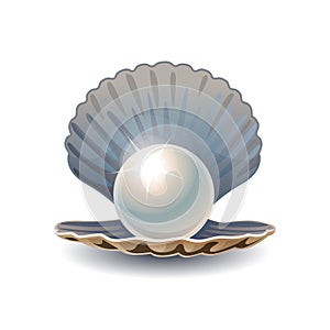 Shiny pearl in opened seashell