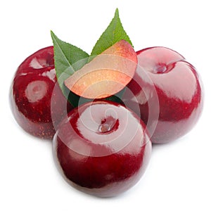Shiny Plums Isolated on White Background