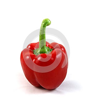 Shiny Red Bell Pepper