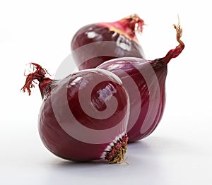 Shiny red onions (allium)