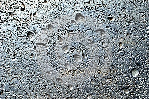 Shiny Shellrock porous limestone texture background painted silver with shell imprints